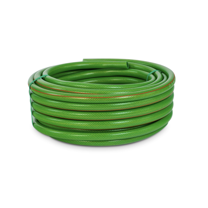 MANGUEIRA JARDIM 25M